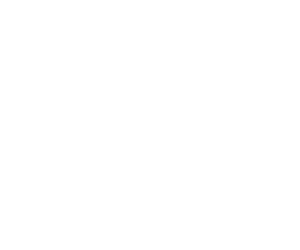 Management 3.0